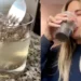 Internal shower drink: tutto quello che c’è da sapere sulla bevanda che sta spopolando su TikTok