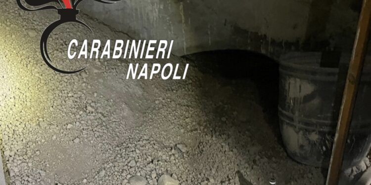 Torre Annunziata: uno scavo clandestino per trafugare nella Villa di Poppea del sito di Oplontis