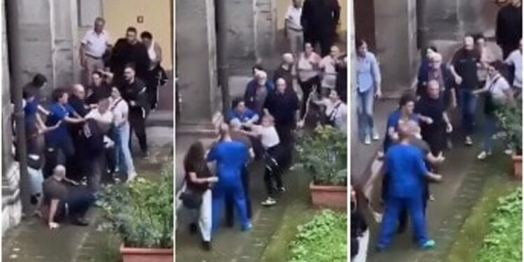 Ospedale veterinario Federico II Napoli: medici aggrediti dopo la morte di un cane, quattro arresti