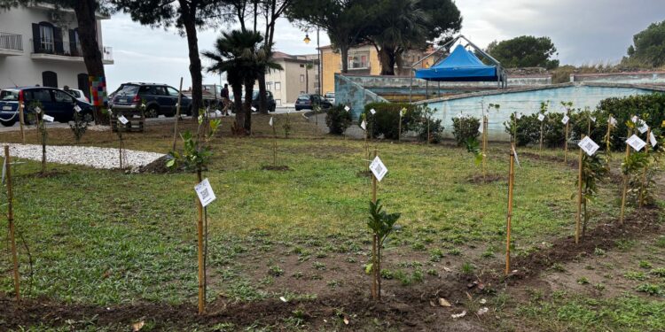 Nasce a Fuscaldo il primo parco della pace italiano, un tributo a Angelo Vassallo e a tutti i costruttori di pace