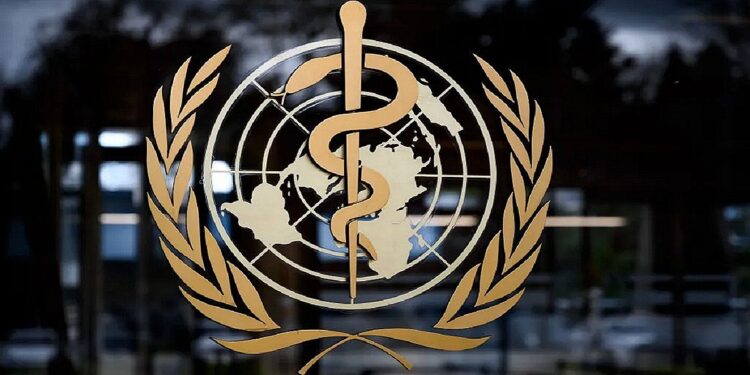 Stage OMS: tirocini retribuiti fino a 1700 Euro in Europa