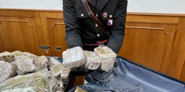 Napoli e Caserta: carabinieri sequestrano 750 kg di droga. Quattro arresti