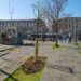 A Napoli piantati nuovi alberi nell’area nord di Piazza Garibaldi