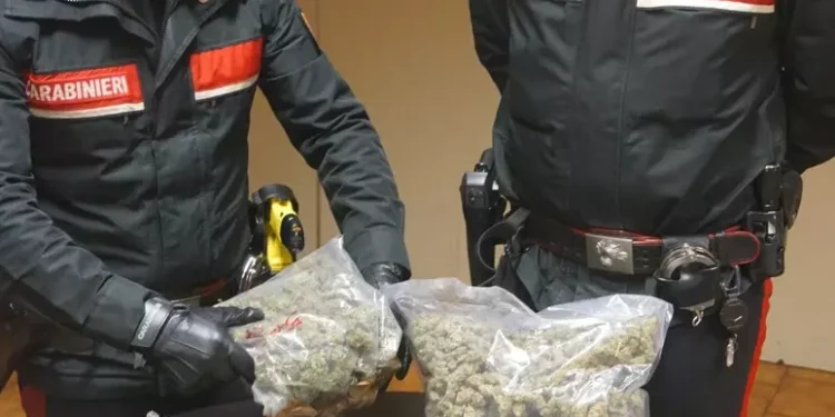 Droga, blitz dei carabinieri nel vesuviano: 13 arresti