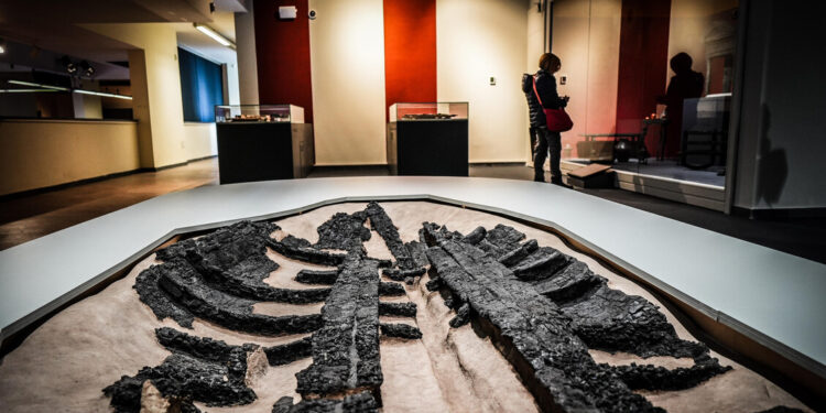 Il legno che non bruciò: una mostra permanente ad Ercolano