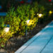 Illuminare il vialetto con stile: come sfruttare i faretti a LED per percorsi e camminamenti 