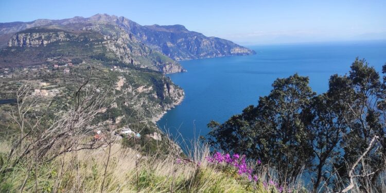 Domenica 6 aprile, escursione gratuita nella Penisola Sorrentina tra natura, storia e sapori