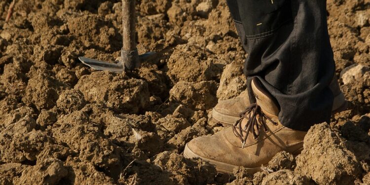 17 aprile: Giornata Internazionale delle Lotte Contadine