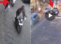 Napoli, 16 persone in manette: ricostruita la dinamica degli omicidi di Emanuele Tufano ed Emanuele Durante