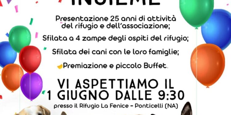 Domenica 1° giugno, il rifugio “la fenice” festeggia 25 anni di attività