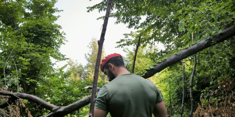 Monti Lattari: Carabinieri trovano altre 267 piante di cannabis e cunicoli sotterranei