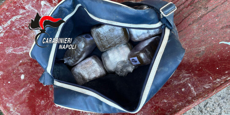Torre del greco:droga, animali maltrattati e pesce avariato — controlli a tappeto dei Carabinieri