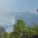 Incendio sul Vesuvio: situazione critica e mobilitazione nazionale