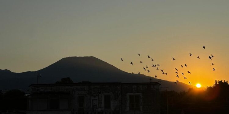 VIDEO-Torre del Greco: arrestato Michele Ciaravolo, latitante e reggente del clan Ascione-Papale
