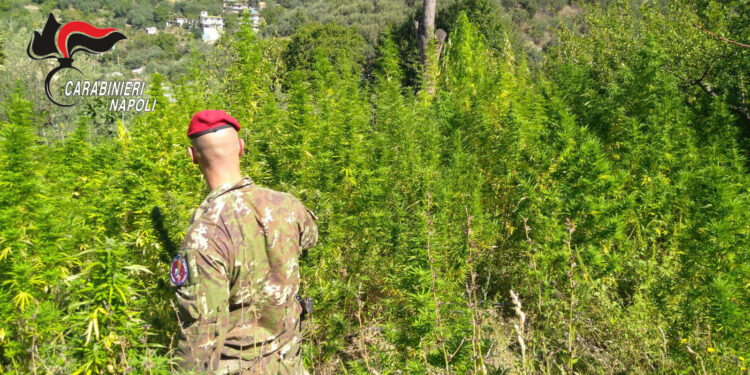 Castellammare e Gragnano, i Carabinieri proseguono con l’operazione “Continuum Bellum 3”