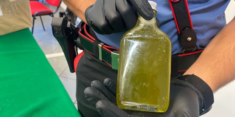 Liquori alla marijuana e droga in casa: 24enne arrestato a Sant’Antonio Abate