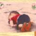 Dieci anni fa la foto di Alan Kurdi, il bambino siriano che scosse il mondo