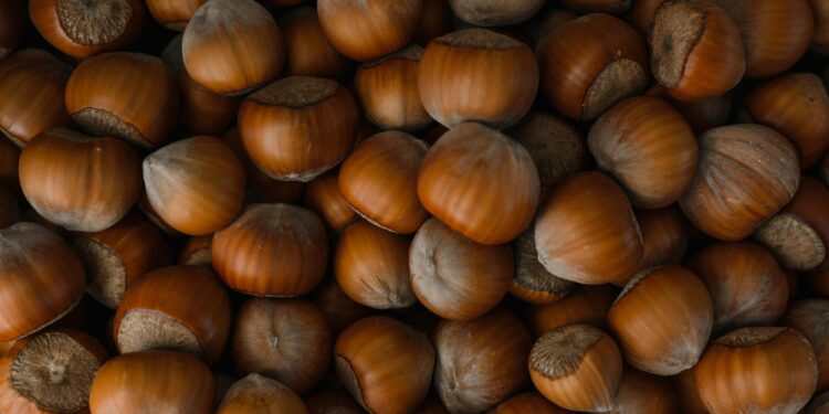 Raccolto dimezzato e prezzi raddoppiati: la crisi della nocciola