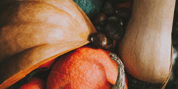 Raccolta autunnale: frutta, verdura e tradizioni di stagione
