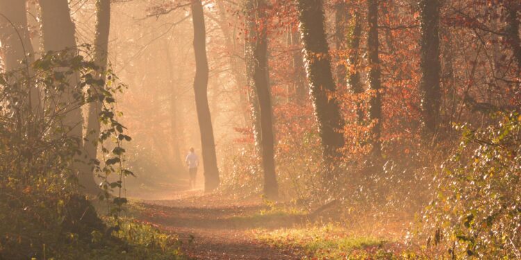 Guida completa al benessere autunnale: alimentazione, attività, cura del corpo e mindfulness