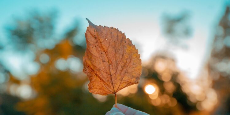 Prepararsi al freddo: consigli per proteggere pelle, capelli e sistema immunitario