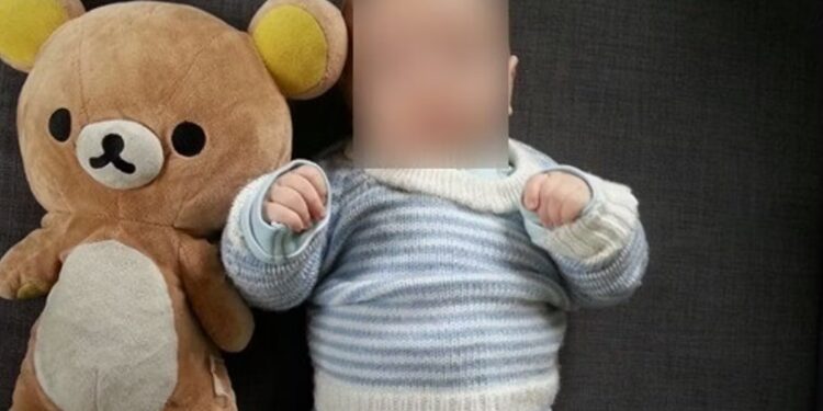 Un peluche smarrito sul treno: l’appello di un padre vedovo che commuove il web