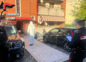 Donna uccisa nel veronese: arrestato il compagno
