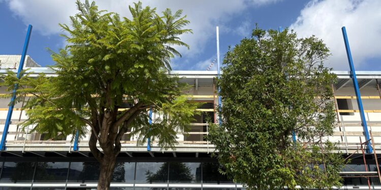 Incidente sul sul lavoro nel napoletano: geometra precipita da 7 metri e muore sul colpo