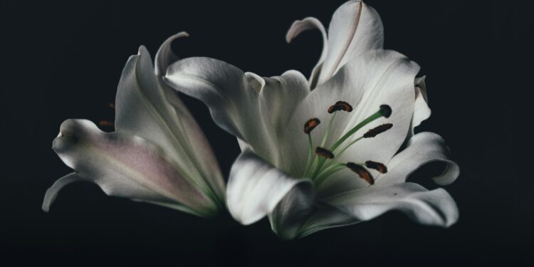 Gragnano, 26 ottobre 1991: 15enne ucciso in un agguato camorristico