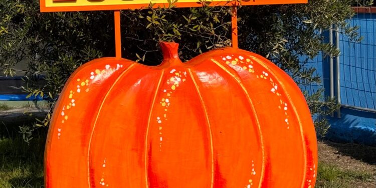 Casalnuovo: nuovo “Sold Out” per Giovanni Nappi e per il Parco delle Chiocciole con la terza edizione di Zuccando