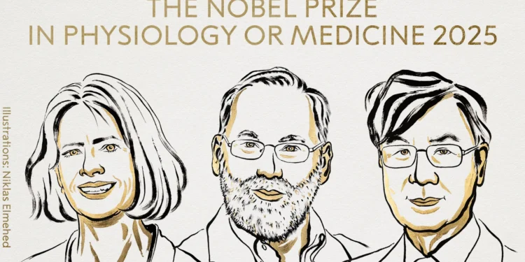 Nobel per la medicina 2025: premiate scoperte che “controllano la difesa”