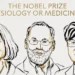 Nobel per la medicina 2025: premiate scoperte che “controllano la difesa”