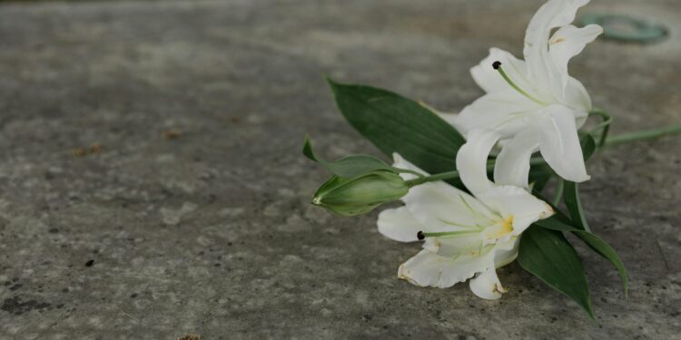 27 ottobre 2000: 15enne ucciso insieme a suo nonno, entrambi vittime innocenti