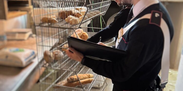 Soccavo, panifici “illuminati” abusivamente: due titolari denunciati, sequestrate oltre 3 tonnellate di prodotti