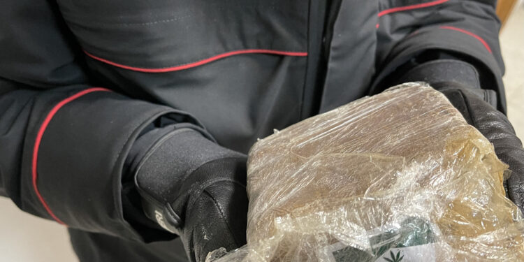 Napoli e provincia: blitz antidroga dei Carabinieri, 9 arresti tra hashish, cocaina e sequestri insoliti