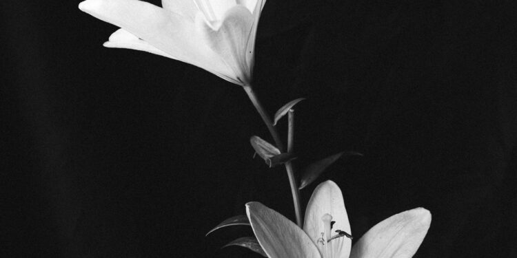 26 novembre 1990: il 42enne Ferdinando Barbalace ucciso “per non lasciare testimoni”