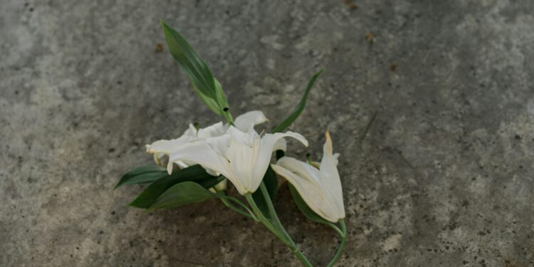 23 novembre 1989: operaio di 23 anni ucciso durante un conflitto a fuoco tra gruppi criminali