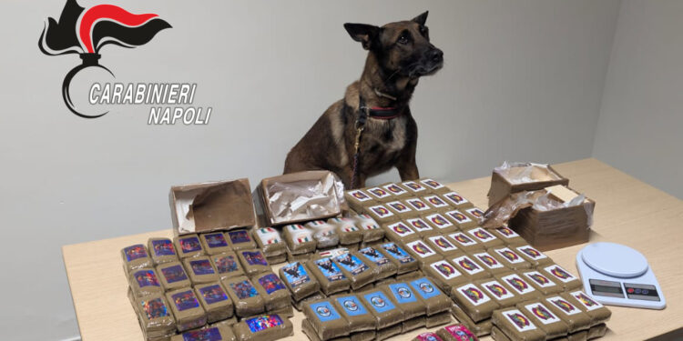 Scoperta casa popolare abusiva a Scampia: sequestri e denunce. Trovati anche 14 kg di hashish