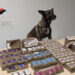 Scoperta casa popolare abusiva a Scampia: sequestri e denunce. Trovati anche 14 kg di hashish