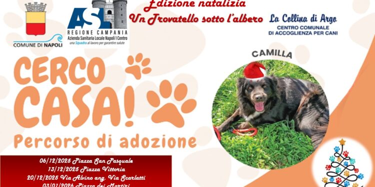 “Cerco Casa – Un Trovatello sotto l’Albero”: quattro giornate per l’adozione consapevole a Napoli