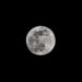 Luna Piena Fredda 2025: la Superluna del 4 dicembre illumina il cielo