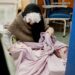 Per l’Epifania Kiranet dona giocattoli ai bimbi ricoverati al Santa Maria delle Grazie di Pozzuoli