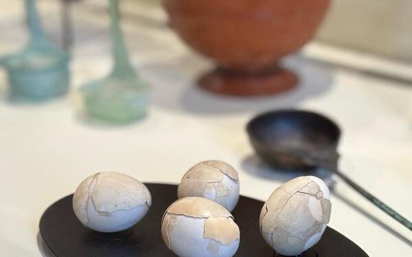 “Dall’uovo alle mele”: a Villa Campolieto il viaggio nei sapori dell’antica Ercolano