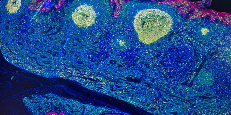 A Mercogliano il primo polo d’eccellenza del Sud dell’IRCCS Pascale