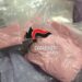 Napoli, cocaina rosa in casa: arrestata pusher incensurata, sequestrata droga per 100mila euro
