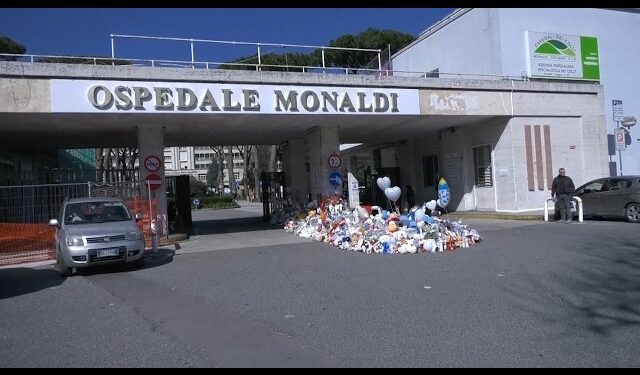 Morte del piccolo Domenico, al via gli interrogatori: ascoltata la vice Bergonzoni e il primario Oppido