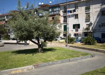 Napoli Est, a San Giovanni a Teduccio presentato il progetto di riqualificazione di 5000 mq di aree verdi