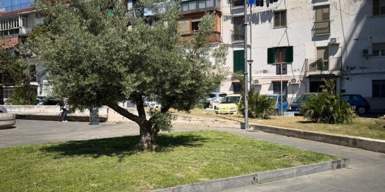 Napoli Est, a San Giovanni a Teduccio presentato il progetto di riqualificazione di 5000 mq di aree verdi