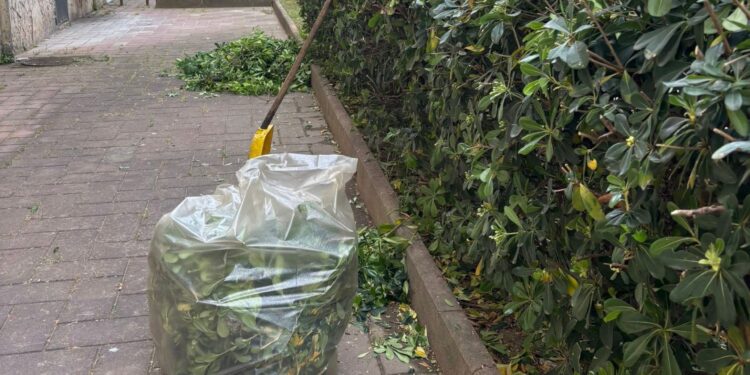 Napoli Est, Rione Villa: presentazione dell’accordo per la cura e riqualificazione di 5000 mq di verde