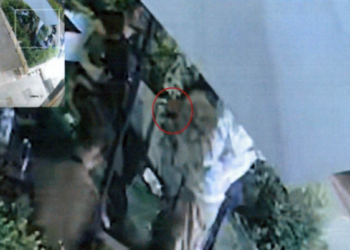 Ponticelli, omicidio Fabio Ascione: il cugino della vittima avrebbe consegnato la pistola all’assassino